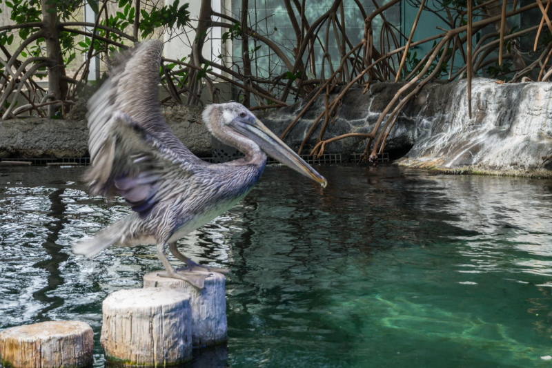 Columbus Zoo and Aquarium