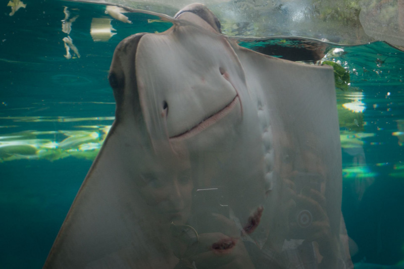 Columbus Zoo and Aquarium