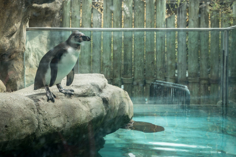 Columbus Zoo and Aquarium