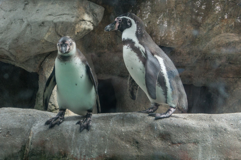 Columbus Zoo and Aquarium