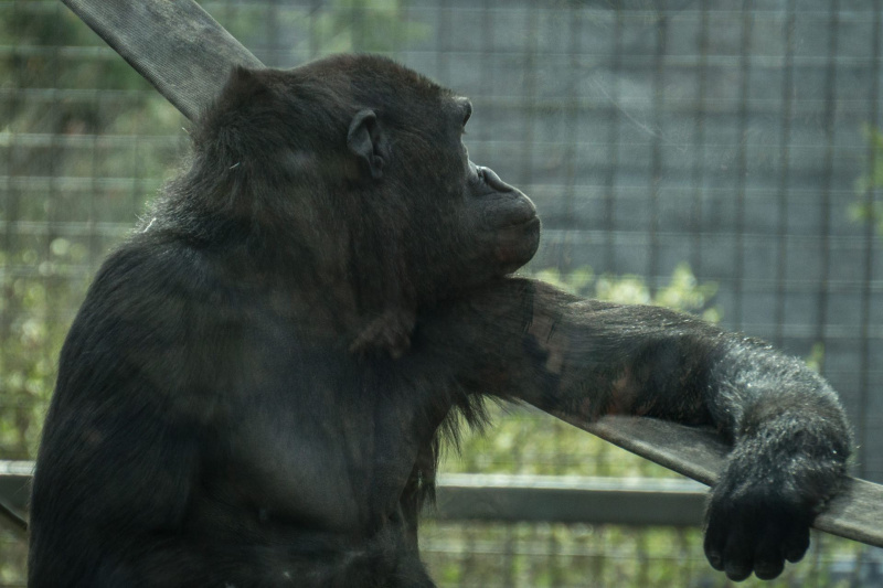 Columbus Zoo and Aquarium