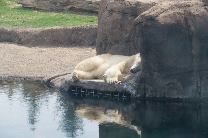 Columbus Zoo and Aquarium