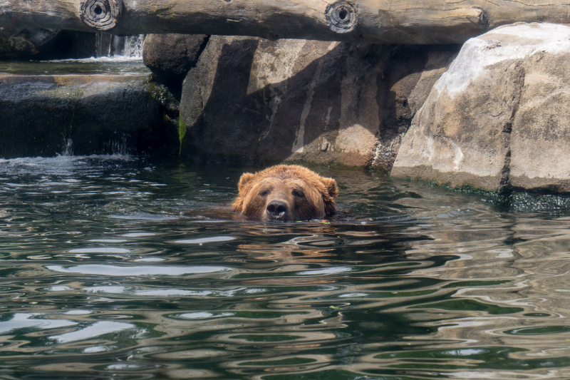 Columbus Zoo and Aquarium