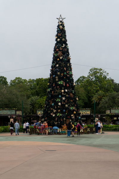 Animal Kingdom