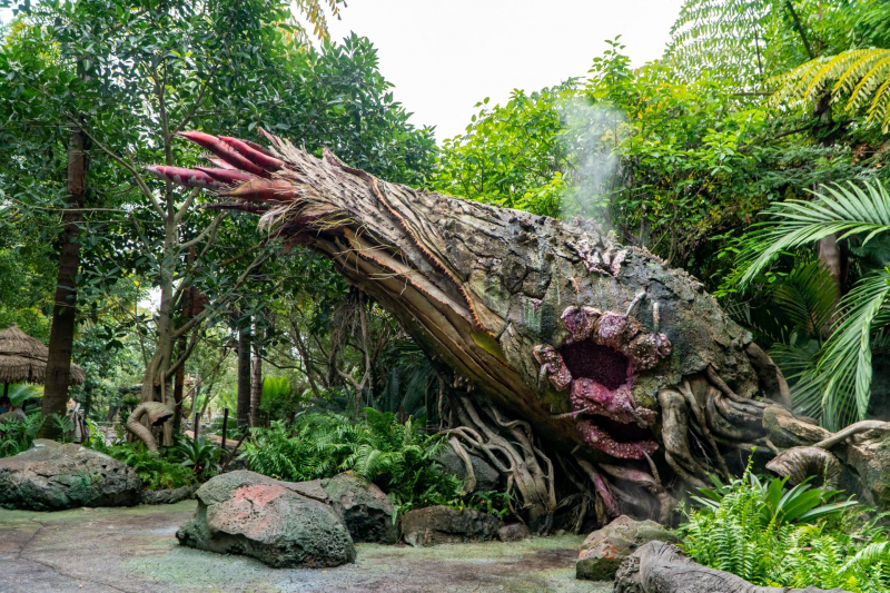 Animal Kingdom
