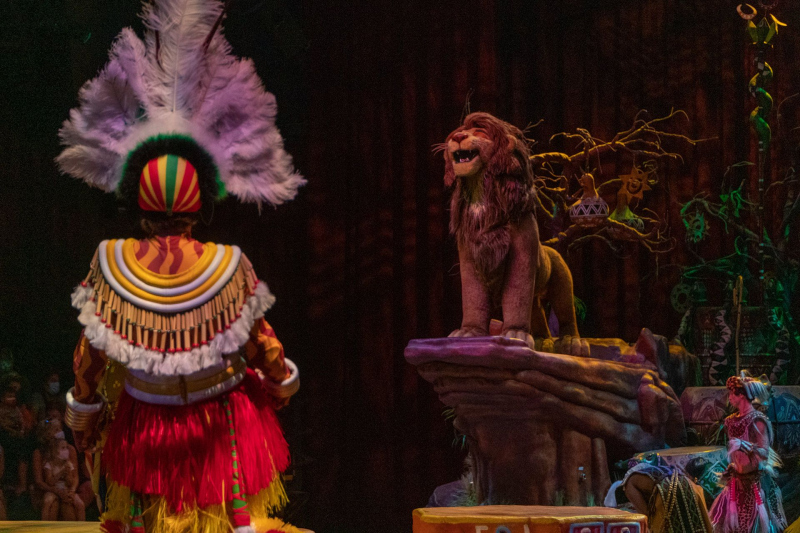 A Celebration of Festival of the Lion King