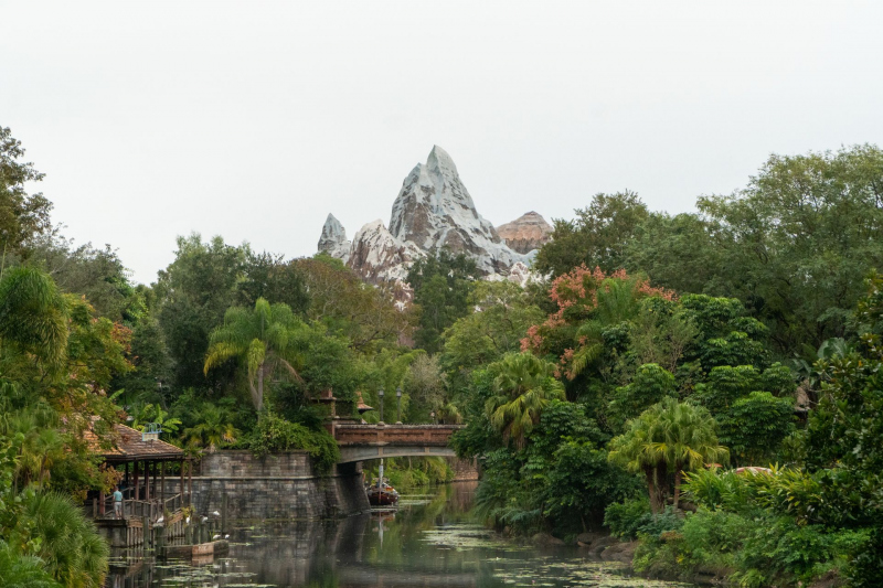 Expedition Everest • Vekoma Mine Train