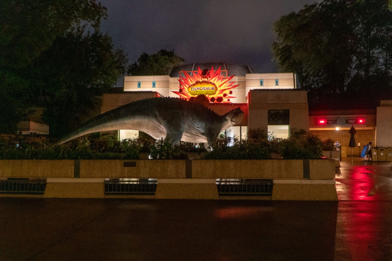 Dinosaurs
