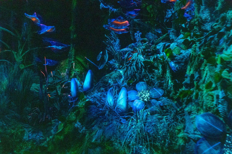 Na'vi River Journey