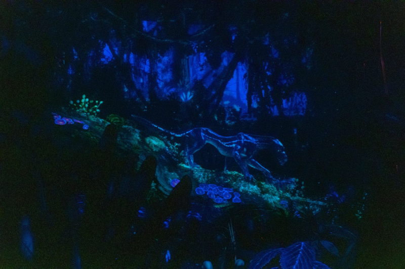 Na'vi River Journey