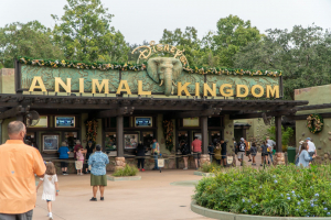 Animal Kingdom