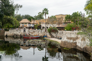 Animal Kingdom