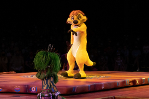 A Celebration of Festival of the Lion King