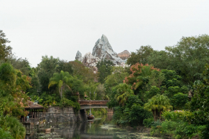 Expedition Everest • Vekoma Mine Train