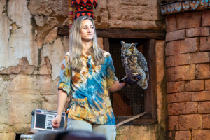 Feathered Friends in Flight!