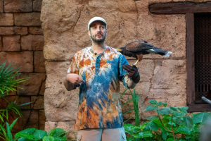 Feathered Friends in Flight!