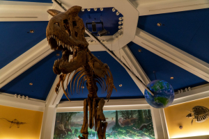 Dinosaurs