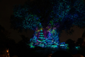 Animal Kingdom