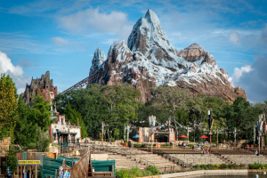 Expedition Everest • Vekoma Mine Train
