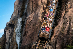 Expedition Everest • Vekoma Mine Train