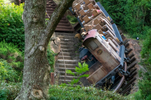 Expedition Everest • Vekoma Mine Train
