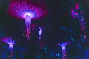 Na\'vi River Journey