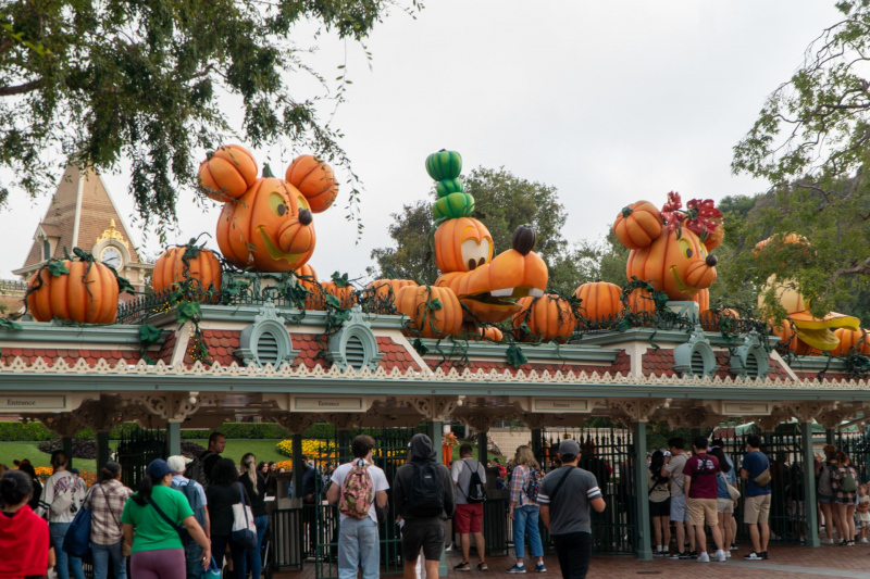 Disneyland