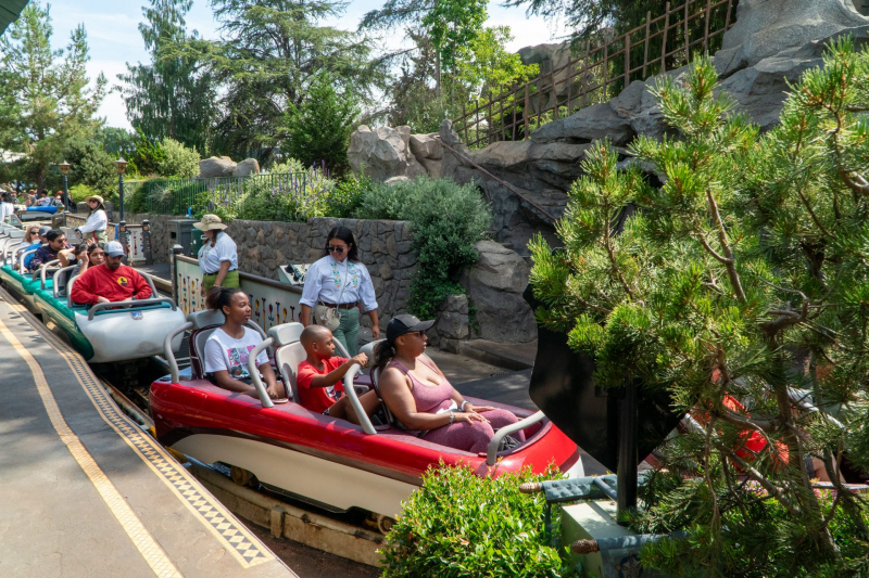 Matterhorn Bobsleds