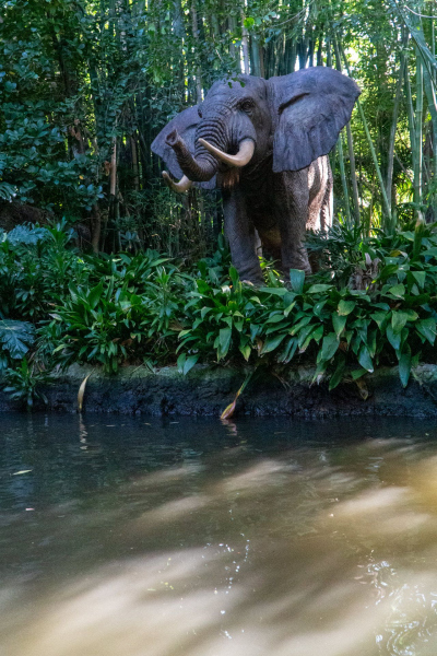 Jungle Cruise