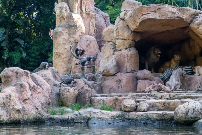 Jungle Cruise