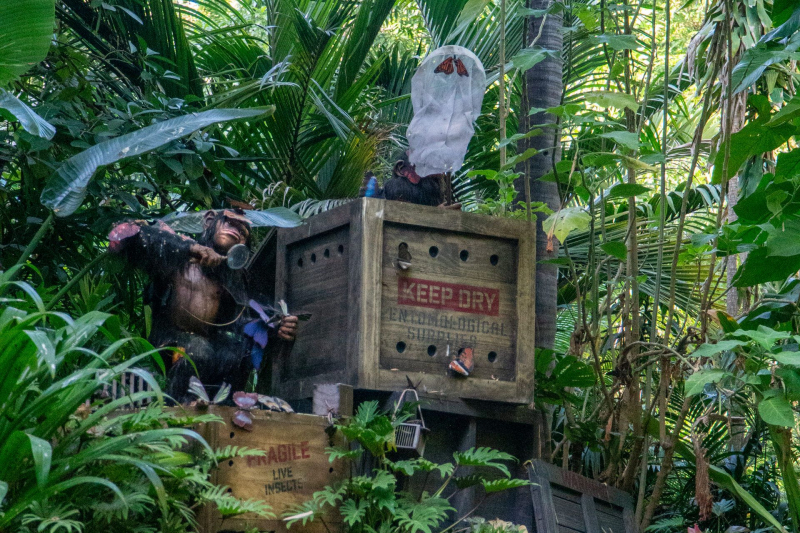 Jungle Cruise