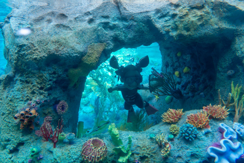 Submarine Voyage