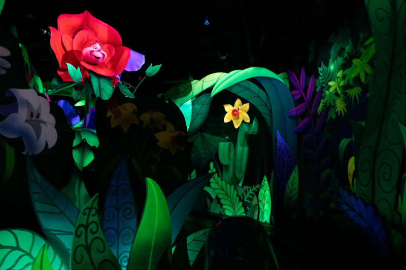 Alice Ride