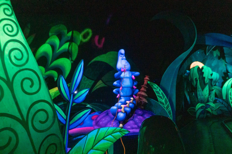 Alice Ride