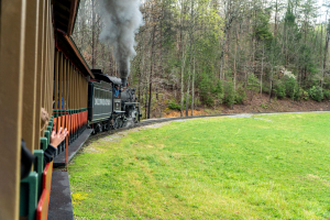 Dollywood Express