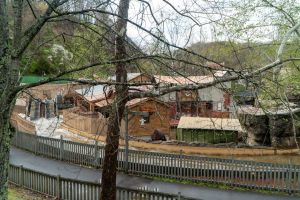 Smoky Mountain River Rampage