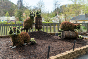 Dollywood