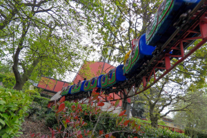 Buffalo Coaster