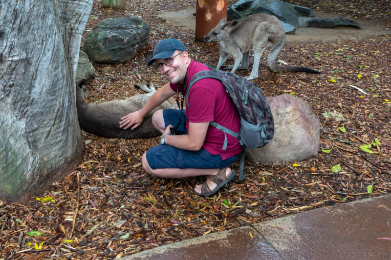 Kangaroo / Känguru