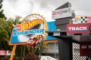 HotWheels Sidewinder • Arrow Looping Coaster