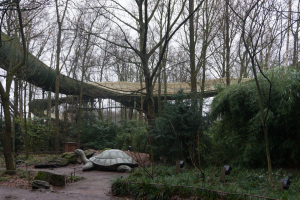 Bobbaan
