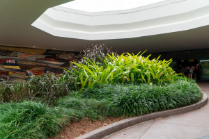 Epcot