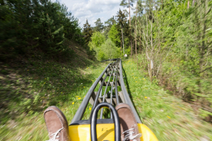 Frankenbob • Wiegand Alpine Coaster