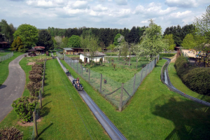 Sommerrodelbahn • Wiegand Luge