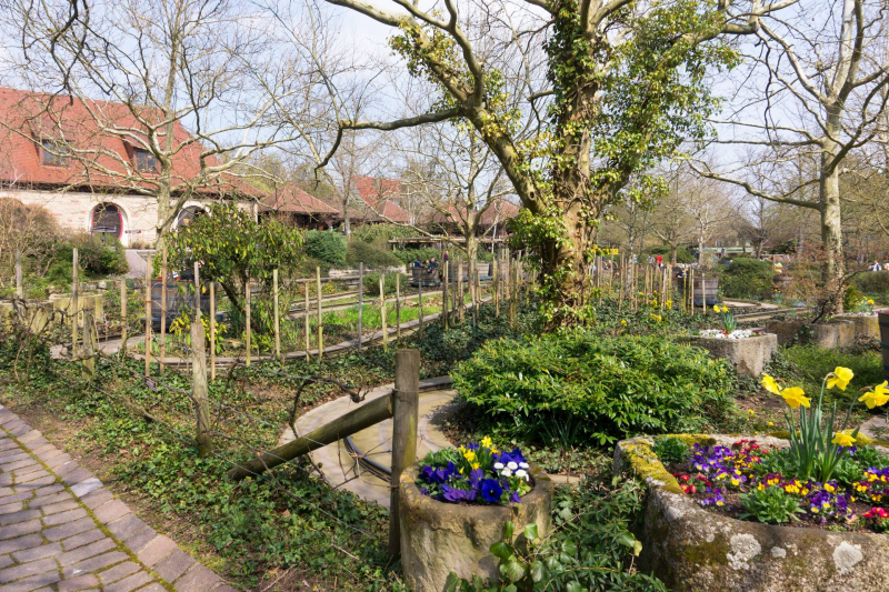 Weinkübelfahrt