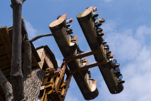 Doppelter Donnerbalken • Bear Rides Drop Tower