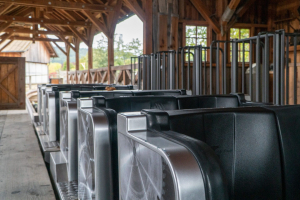 Mammut • Gerstlauer Wooden Coaster