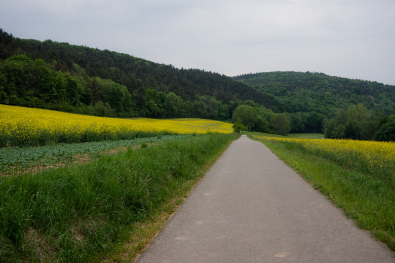 Ilm Radweg