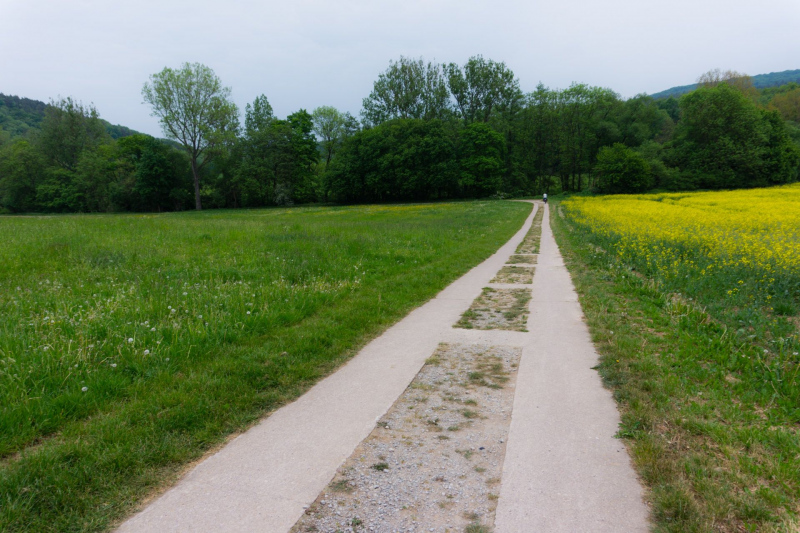 Ilm Radweg