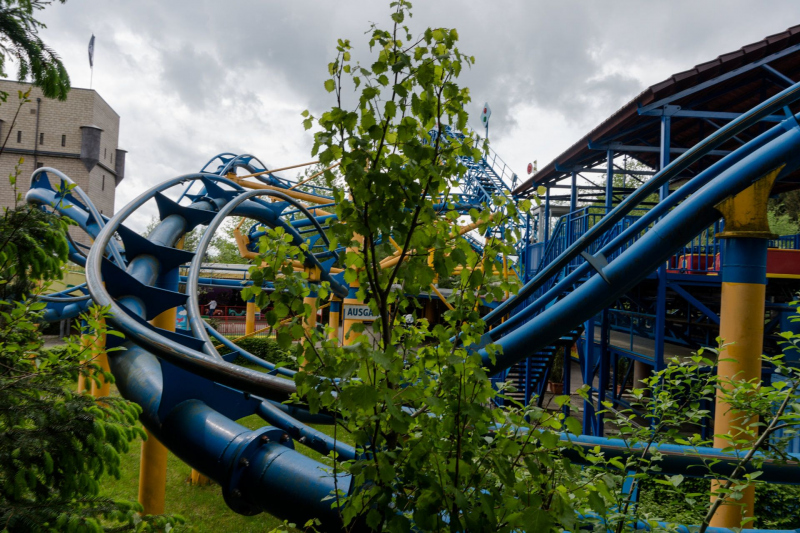 Wild Train